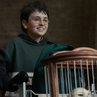 Harry Potter n’a même pas commencé que HBO prépare déjà Dobby, Voldemort et l’après-épisode