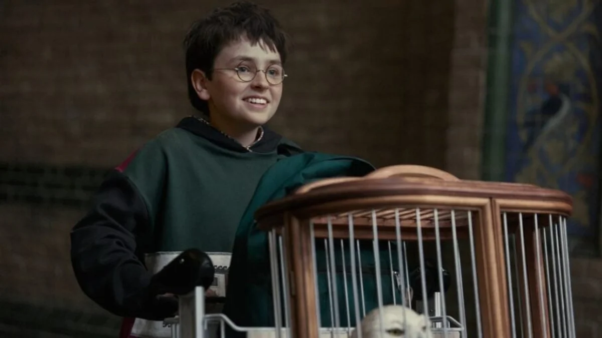 Harry Potter hasn't premiered yet, but HBO is already casting Voldemort and planning the post-show