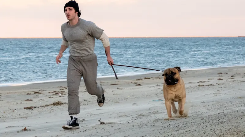 I Play Rocky : Stallone dit n'avoir rien à voir avec le film, Farrelly assure avoir eu son accord